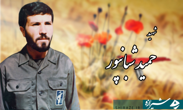 شهیدی که روز شهادت خود را می دانست/  «قلب اسلام» ولايت فقيه است