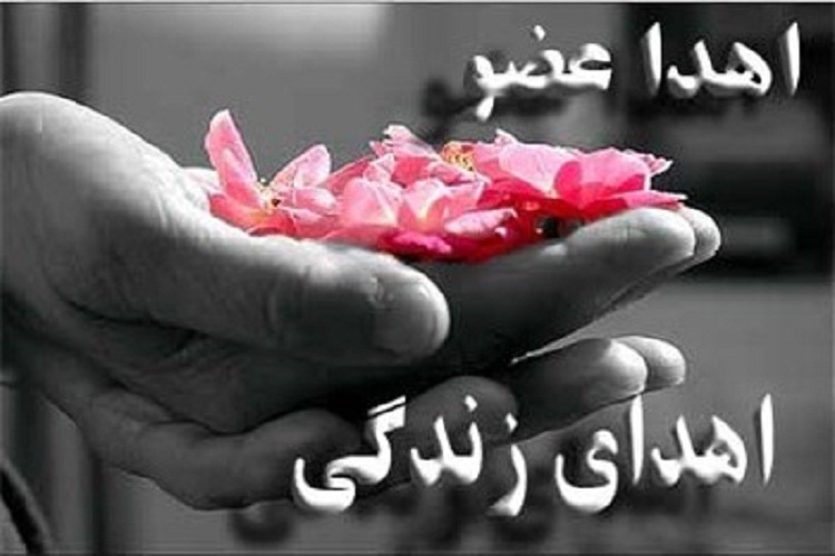 کاهش اهدا عضو در سایه کرونا/ فارس تا کنون قریب به ۱۲هزار پیوند عضو انجام داده است کاهش اهدا عضو در سایه کرونا/ فارس تا کنون قریب به ۱۲هزار پیوند عضو انجام داده است