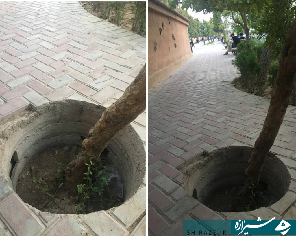بی‌تدبیری شهرداری شیراز جان دختر 5 ساله را به خطر انداخت/ هضم نظارت کارشناسان در هیاهوی سهل انگاری پیمانکاران