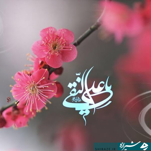 امام هادی امام هادی