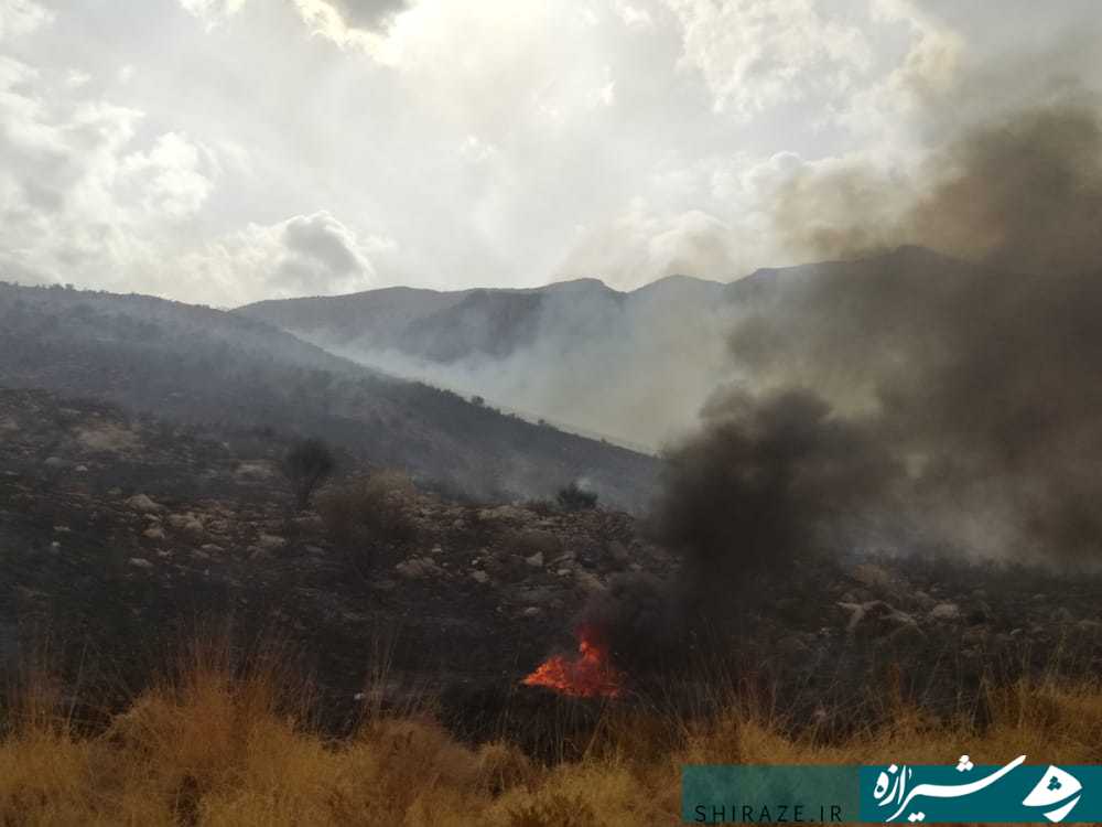 حریق گسترده در پارک کوهستانی دراک محار شد حریق گسترده در پارک کوهستانی دراک محار شد