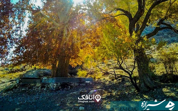 نی ریز، شهری باستانی در عمق استان فارس نی ریز، شهری باستانی در عمق استان فارس