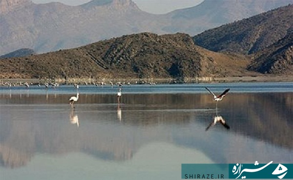 نی ریز، شهری باستانی در عمق استان فارس نی ریز، شهری باستانی در عمق استان فارس