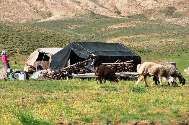 سبک زندگی عشایر ایران جاذبه‌ای برای رونق اقتصادی است