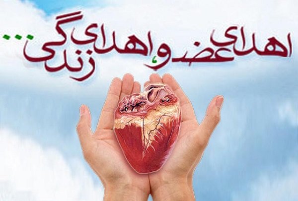 سه بیمار نیازمند پیوند به زندگی برگشتند
