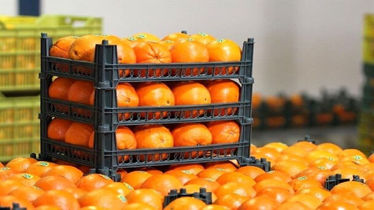 میوه طرح تنظیم بازار فارس تأمین شد