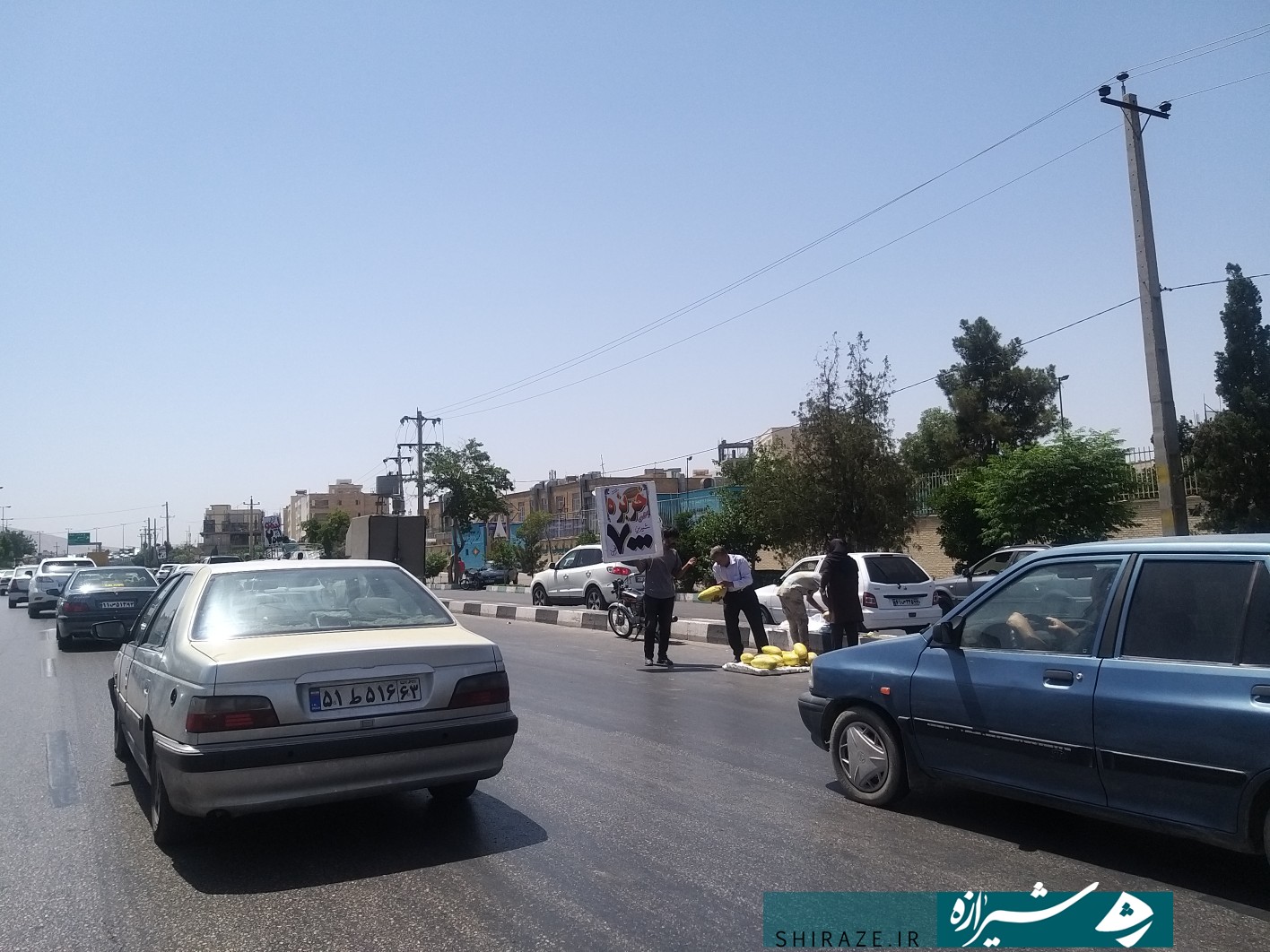 نظم شهری که در حراج وانت بارهای میوه فروش به تاراج می‌رود