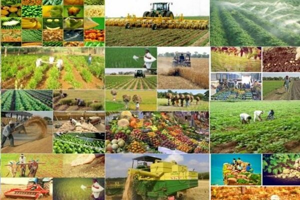 تدوین الگوی کشت برای ارسنجان