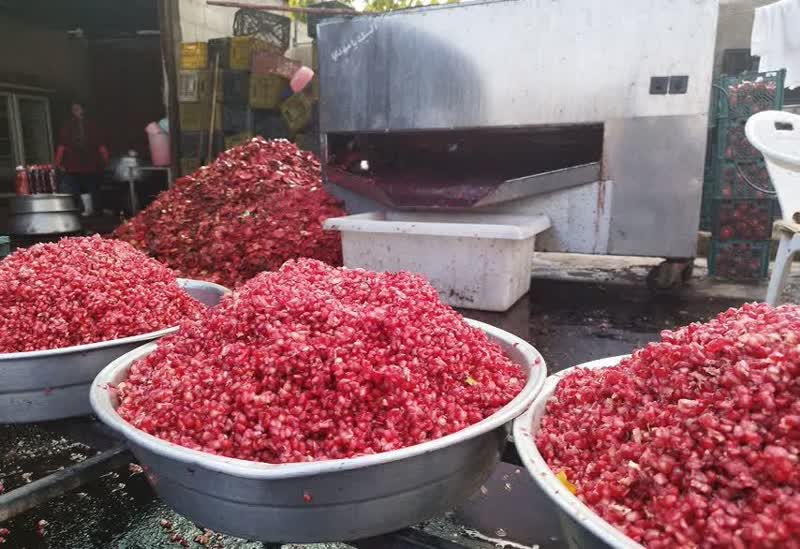 افتتاح یک کارگاه مشاغل خانگی در بیضا افتتاح یک کارگاه مشاغل خانگی در بیضا