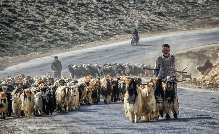 جابه‌جایی ۲۷هزار خانوار عشایر