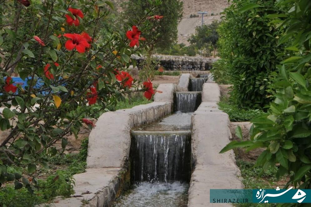 امام‌شهر، سرزمین نخل و آفتاب
