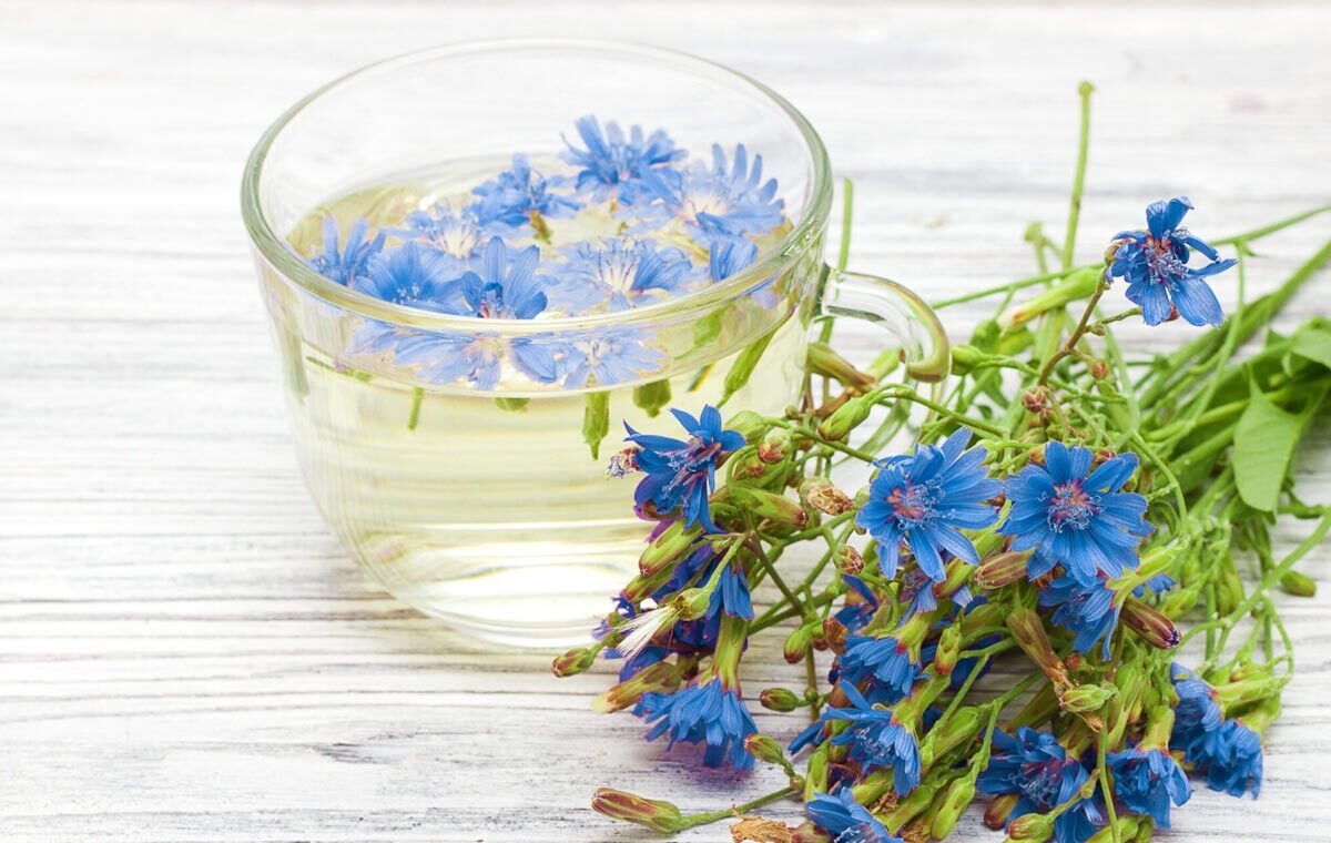 خاصیت شگفت انگیز کاسنی