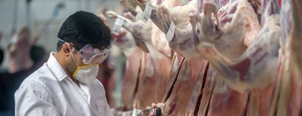 ۹ جایگاه موقت عرضه و ذبح بهداشتی دام