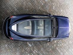 2017 Sweptail