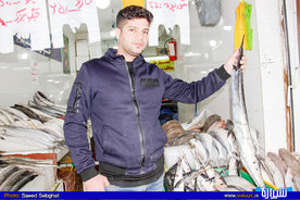                                 ماهی چنگو