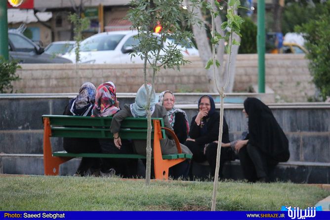 خانمها اما، اجازه گرفتن عکس از این نزدیکتر را به من ندادند، میگفتند،ما که پیر نیستیم