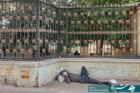 دیوار بیمارستان قلب الزهرا(س)