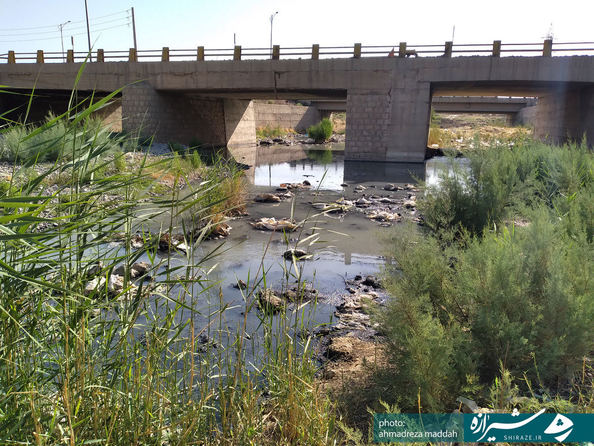 پل کمربندی شیراز  جنب شهرک شهید آیت الله دستغیب 