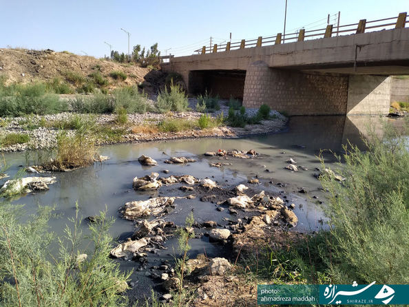 پل کمربندی شیراز  جنب شهرک شهید آیت الله دستغیب 