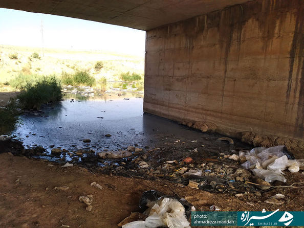 پل کمربندی شیراز  جنب شهرک شهید آیت الله دستغیب 
