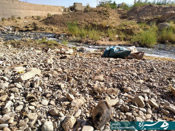 جنب شهرک شهید آیت الله دستغیب 