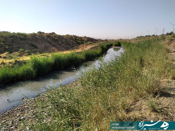 جنب شهرک شهید آیت الله دستغیب 