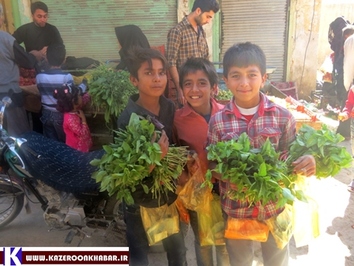 سبزی فروشان کم و سنّ و سال در کازرون
