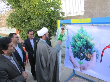 طنین زنگ درختکاری در مدارس شهرستان سروستان