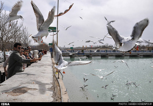 حاشیه بلوار چمران