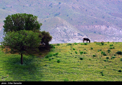 طبیعت بهاری تنگ بوان