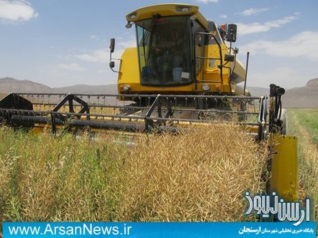 اولین برداشت گیاه کلزا در ارسنجان