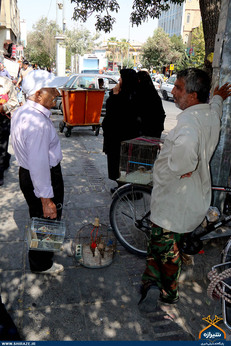 بازار پرنده فروشان شیراز