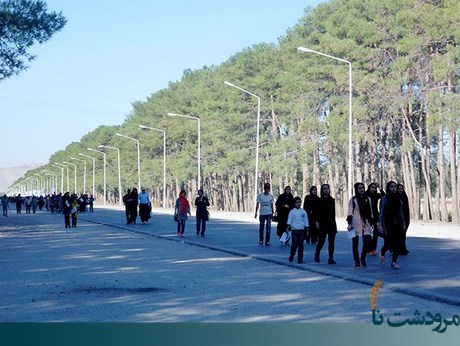 آیین پیاده روی خانوادگی در تخت جمشید