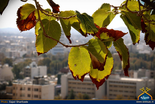 تبسم پاییز به طبیعت شیراز