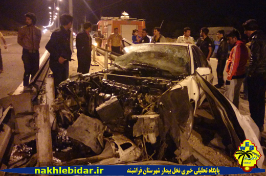 روباه در فراشبند خودروی زانتیا را به گارد ریل زد