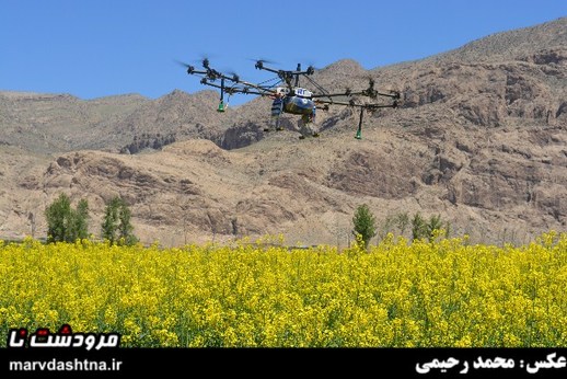 برای اولین بار مزارع سیدان با پهپاد سمپاشی شد