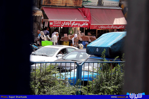 بازار ماهی فروشان شیراز