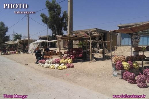 گره خوردن نام کوار به پیاز 