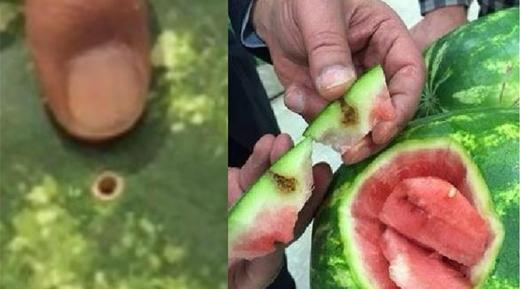 هنوانه های مشکوک؛ برخی کشاورزان به صورت غیر قانونی اقدام به تزریق هرمون ها ، مواد آرایشی، قرص بارداری به هندوانه می کنند تا شاید رشد سریعتری داشته باشد.